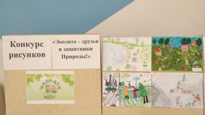 upload/gallery/ekolyata/1705491546_civlbekmkg8.jpg