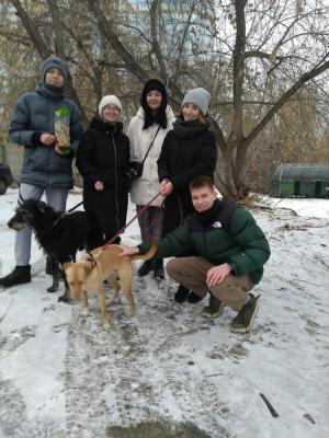 upload/gallery/gdffjjs/1640670919_dd10.jpg