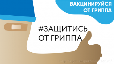 upload/gallery/gripp/1574243548_7992fcbc30feaada4a0d69fd3ba2de0b.png