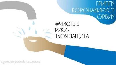 upload/gallery/virus/1582350433_1151-4.jpg