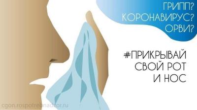 upload/gallery/virus/1582350433_1151-5.jpg